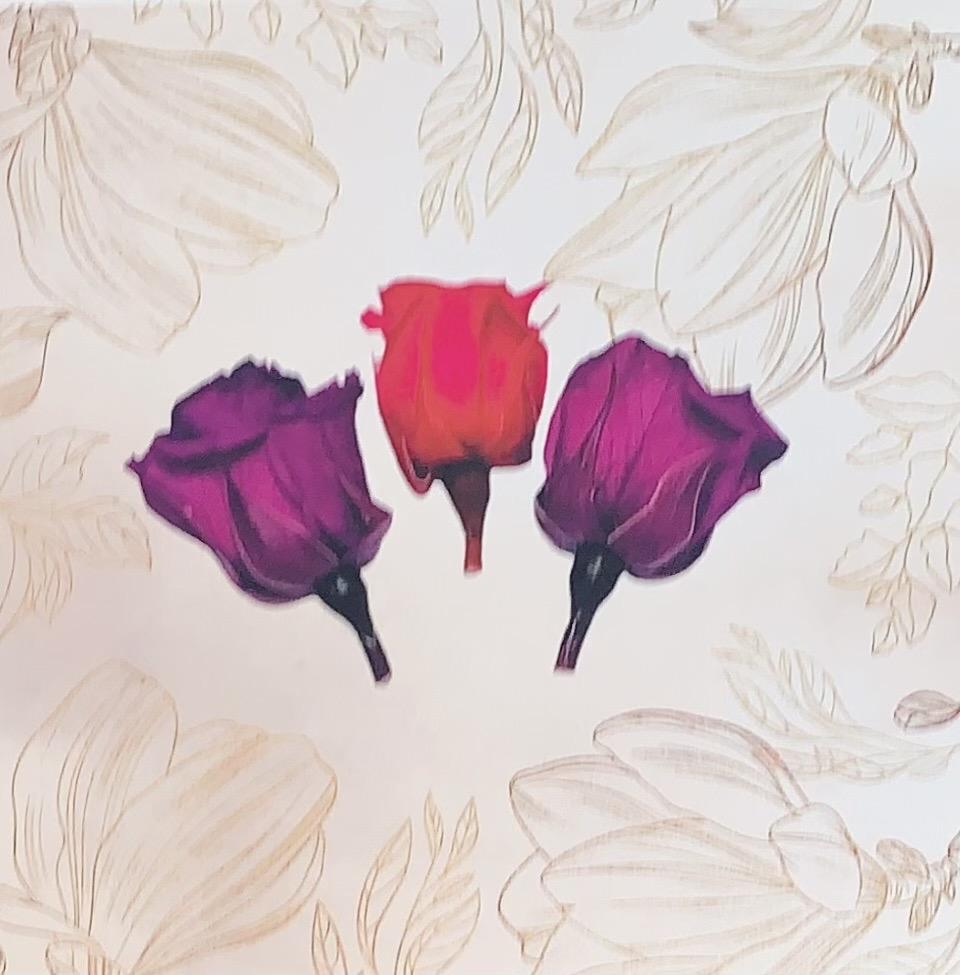 三朵玫瑰花 無框畫