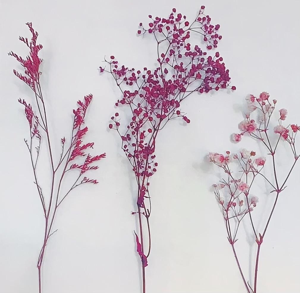 紫色夢幻 無框畫