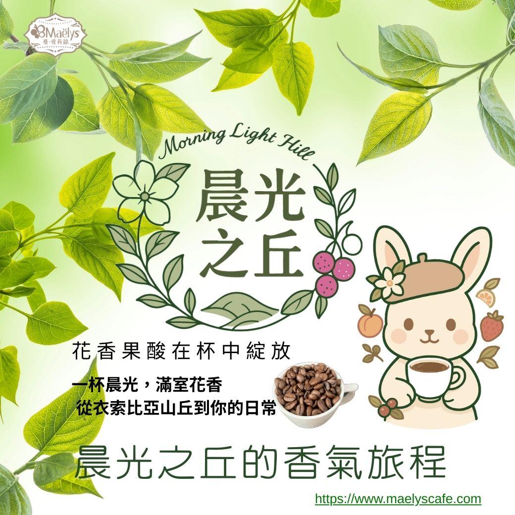 衣索比亞 Bensa Bombe 精品咖啡豆推薦｜Maelys《晨光之丘 Morning Light Hill》淺焙花香果酸風味