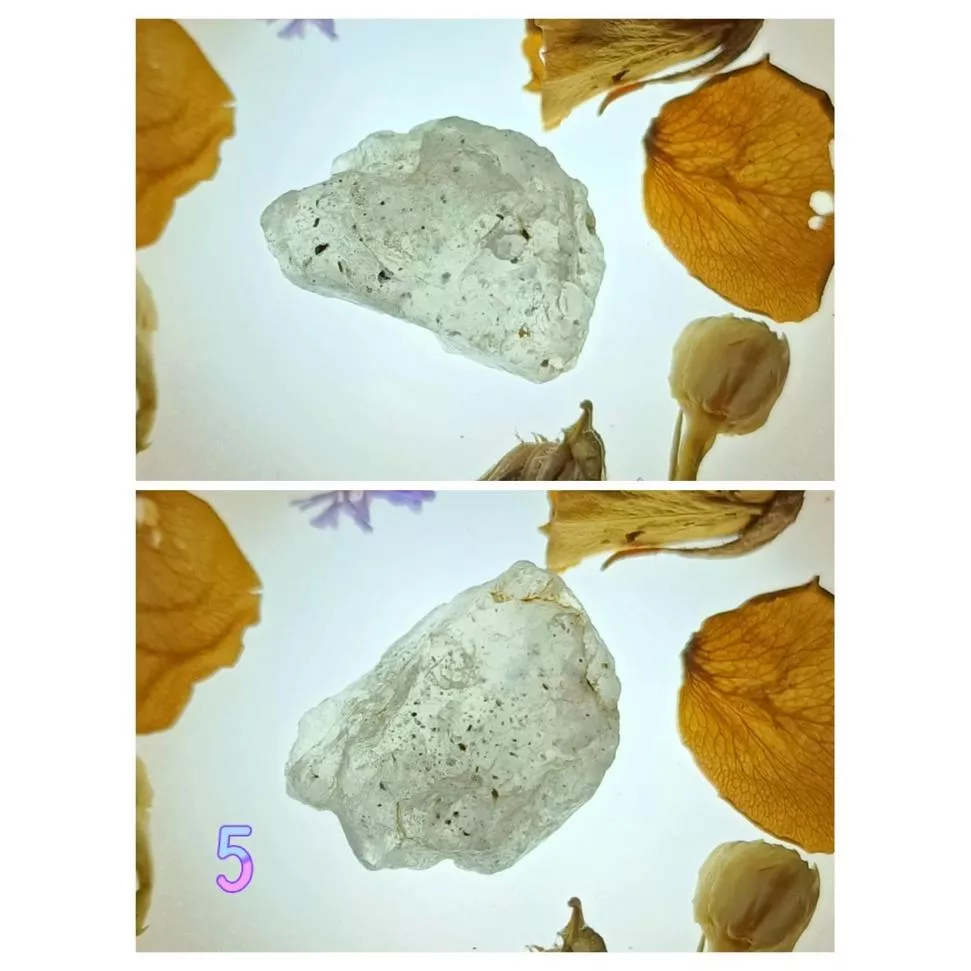 黑雲母 黑超七 白水晶內包黑雲母  原礦