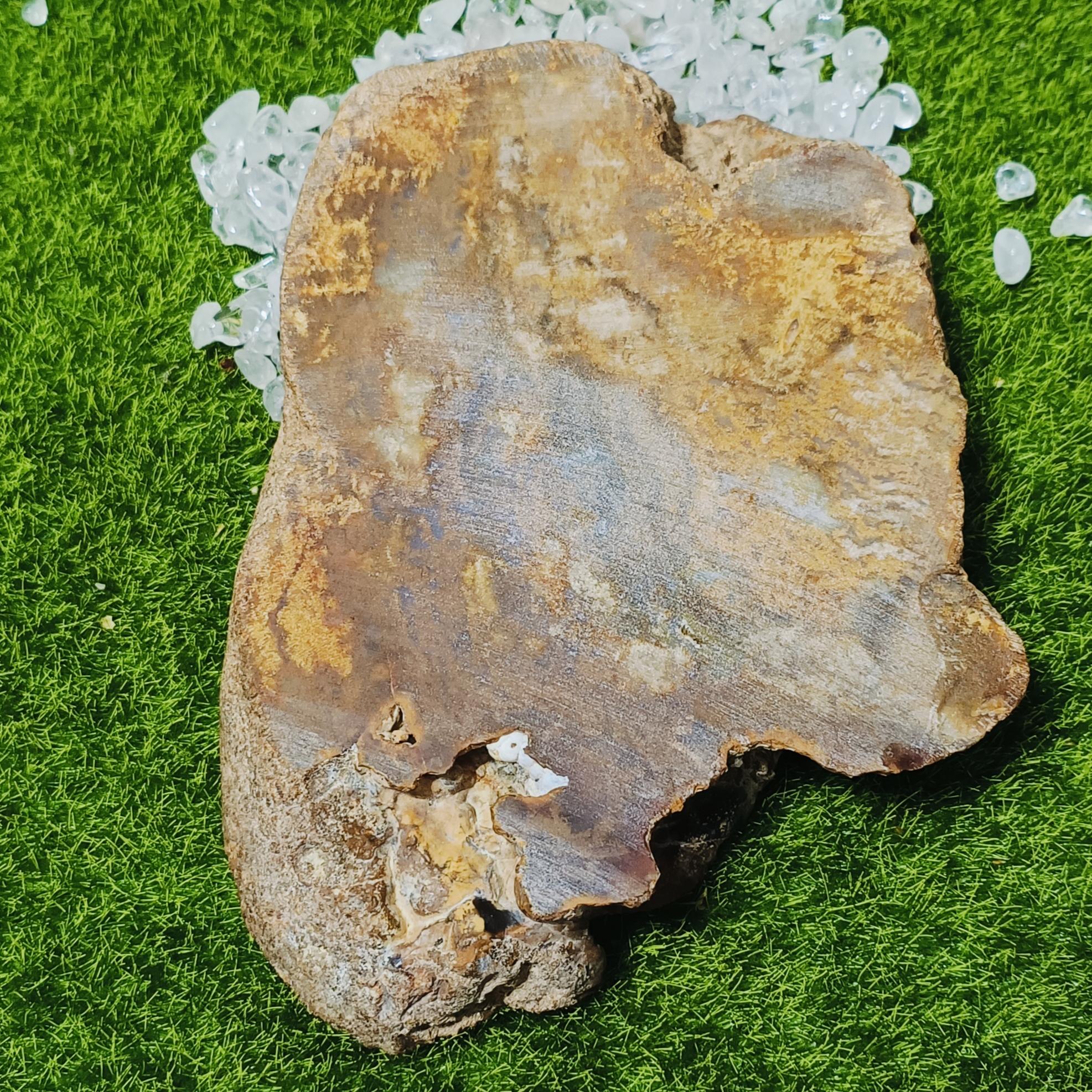 珊瑚玉