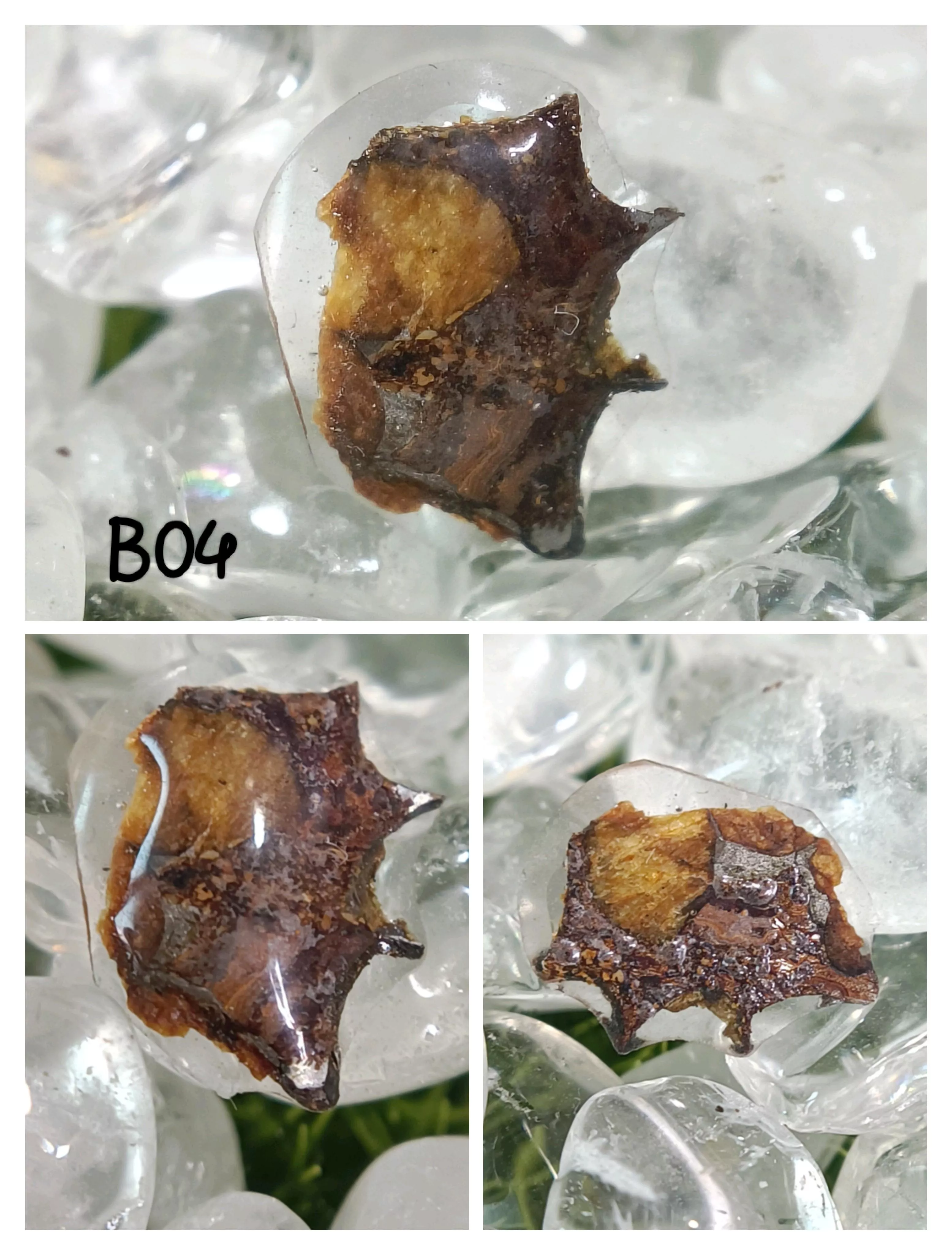 肯尼亞橄欖隕石切片