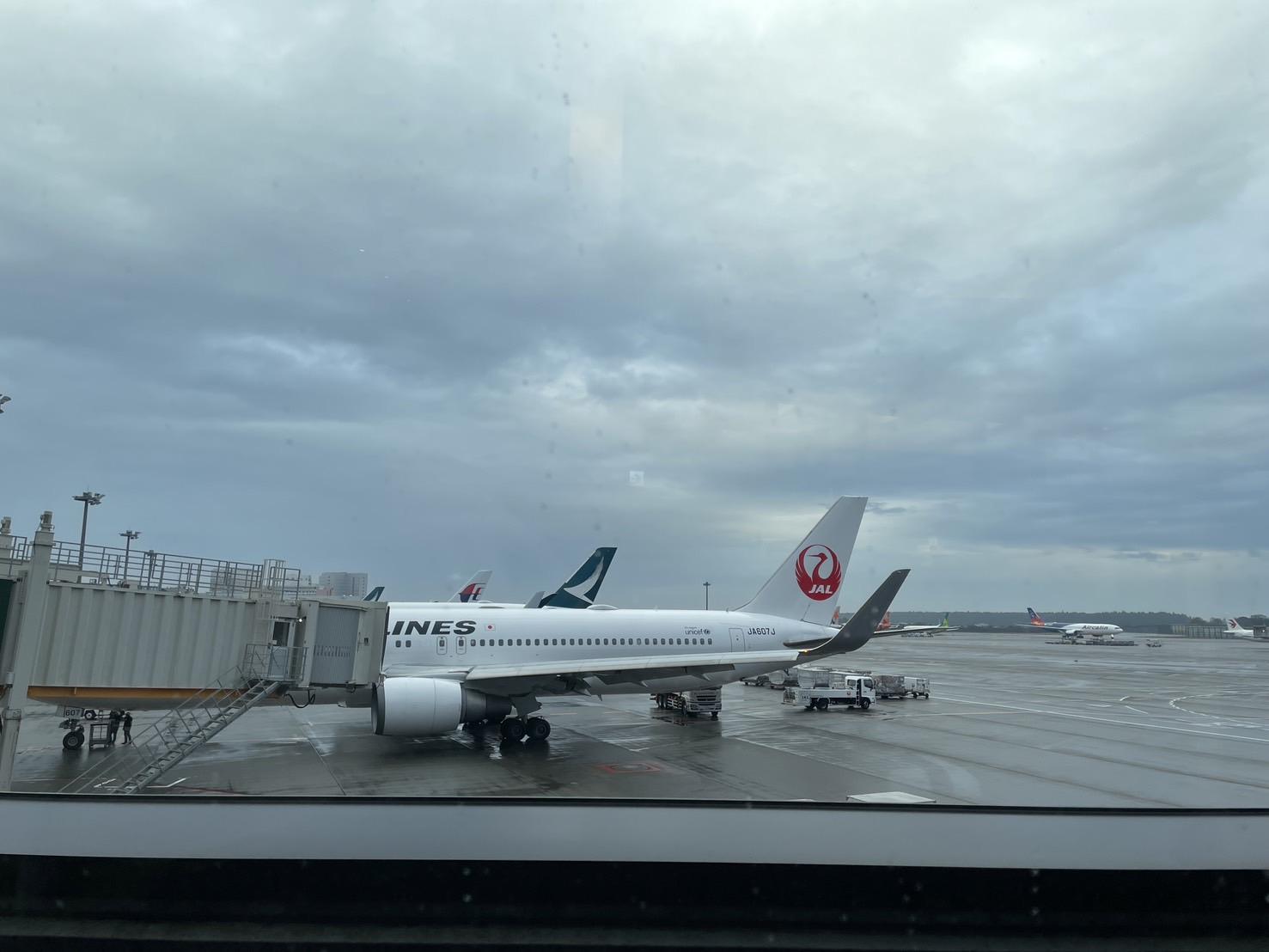 豪華商務艙體驗：日本航空與國泰航空，來回僅需4000元，還可享受香港機場玉衡堂貴賓室燒臘美食