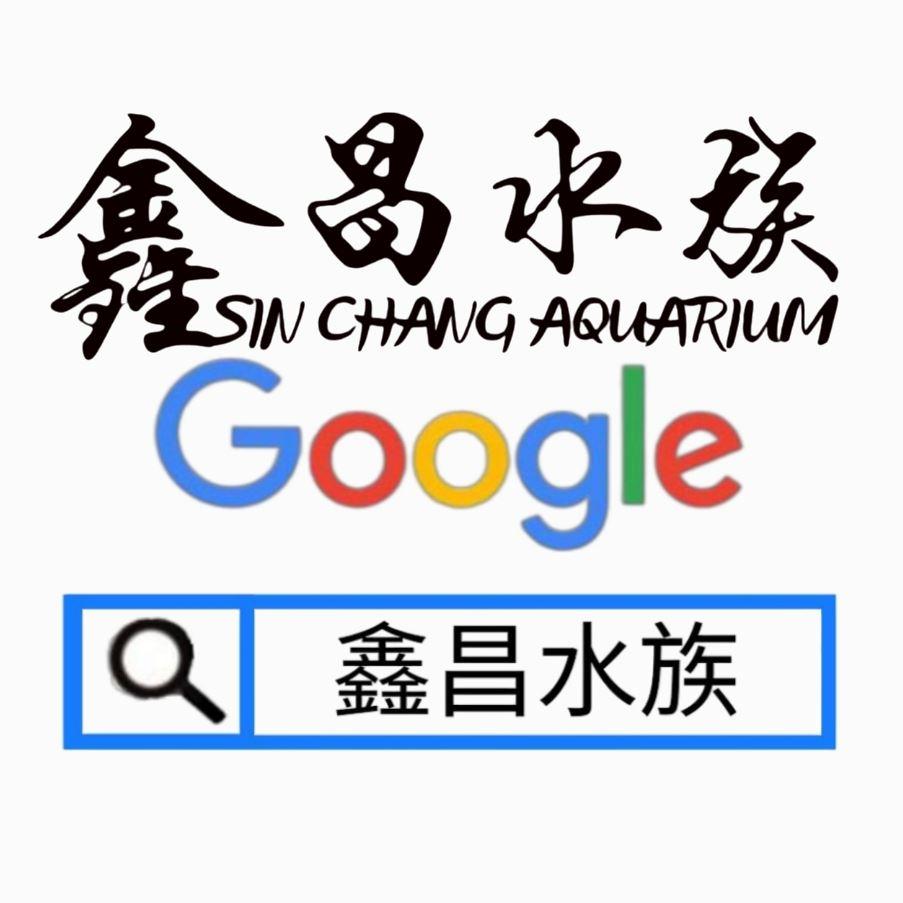 渦蟲的處理、防範