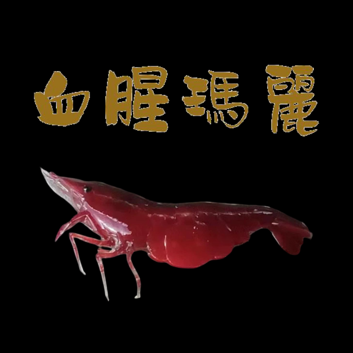 血腥瑪麗