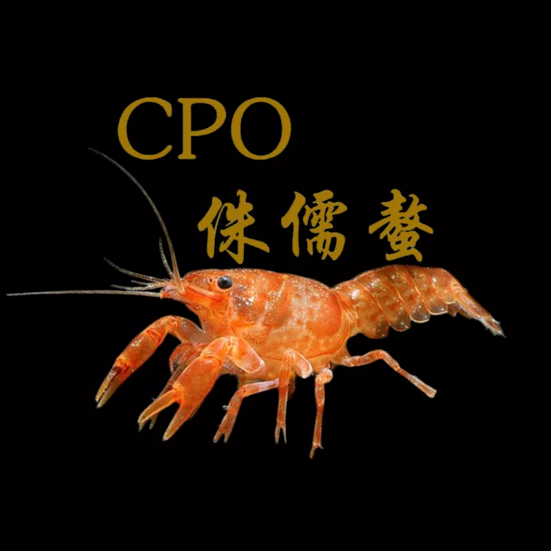 CPO侏儒螯蝦