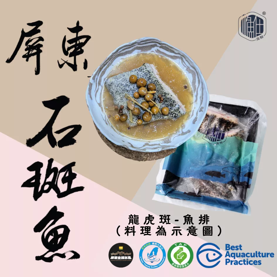 🌊【職人厚切】龍虎斑極鮮魚排