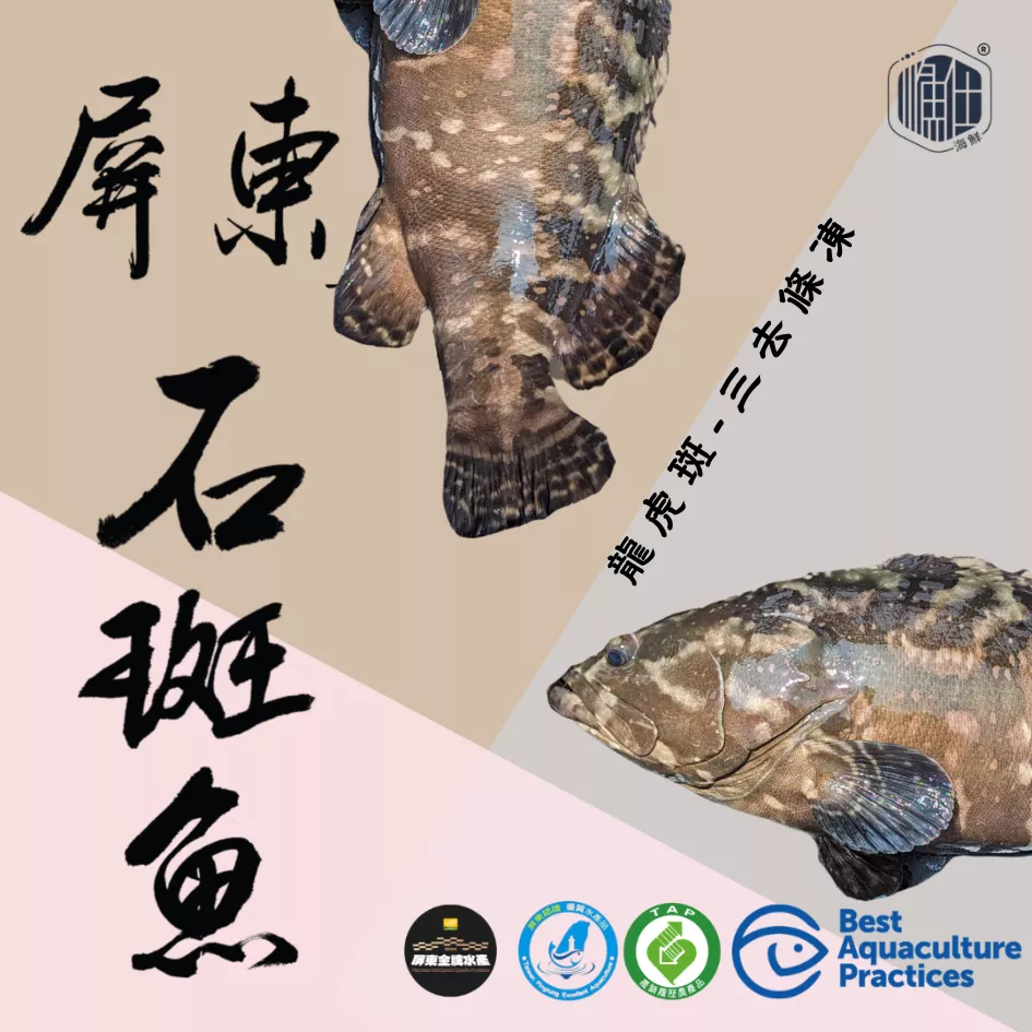 🧧【年年有餘】龍虎斑三去全魚條凍