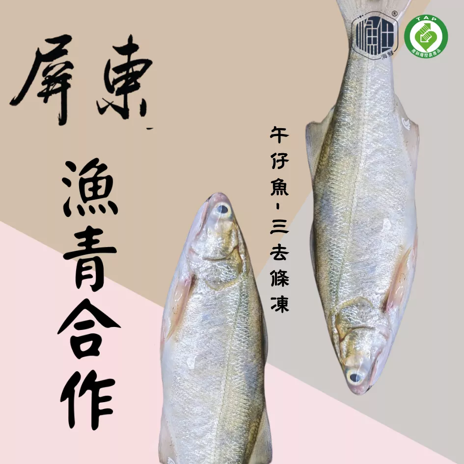 🐟【漁青合作】瀧太郎三去生鮮午仔魚