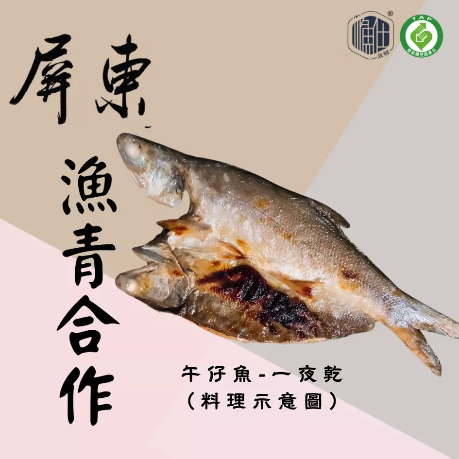 🍶【漁青合作】瀧太郎午仔魚一夜干