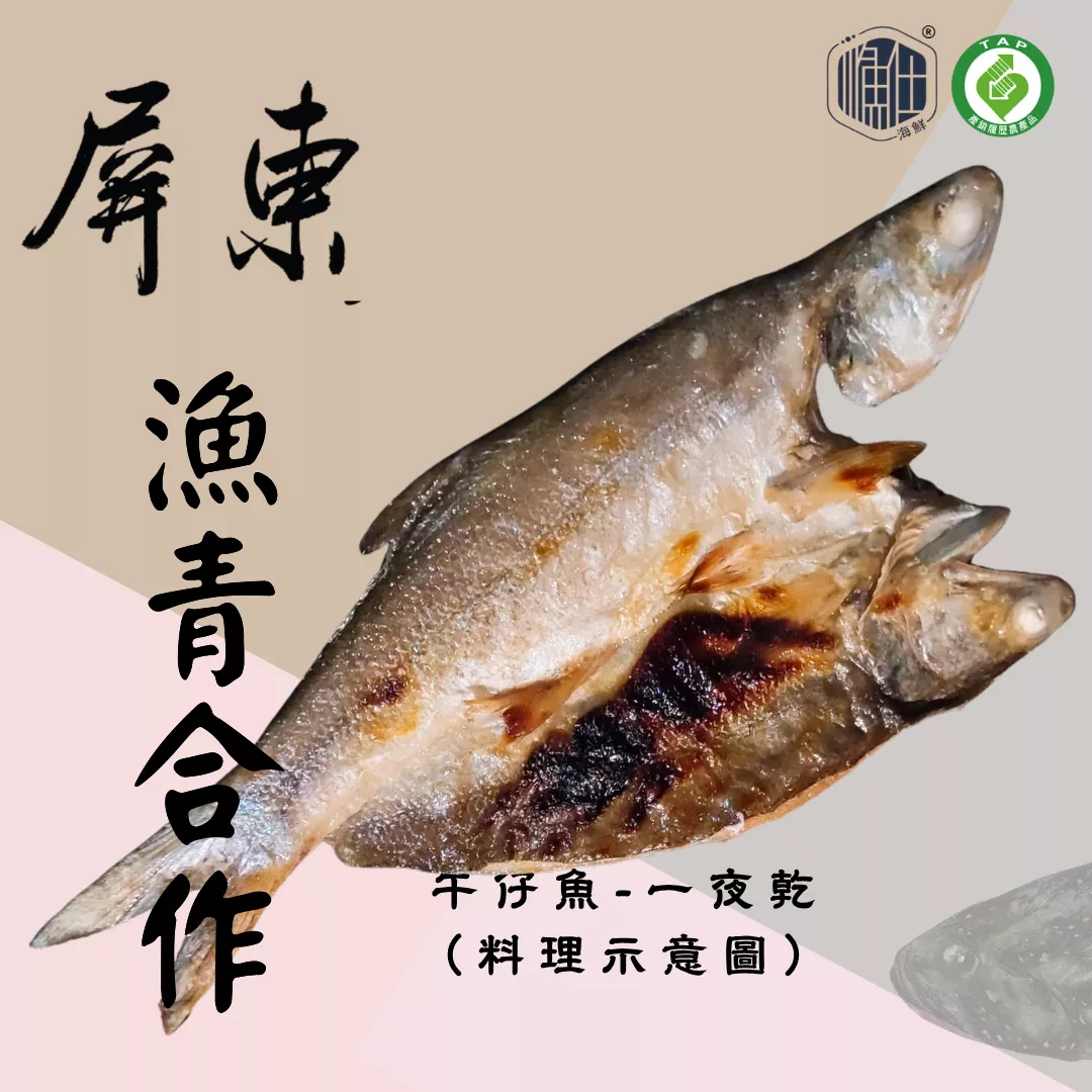 🍶【漁青合作】瀧太郎午仔魚一夜干