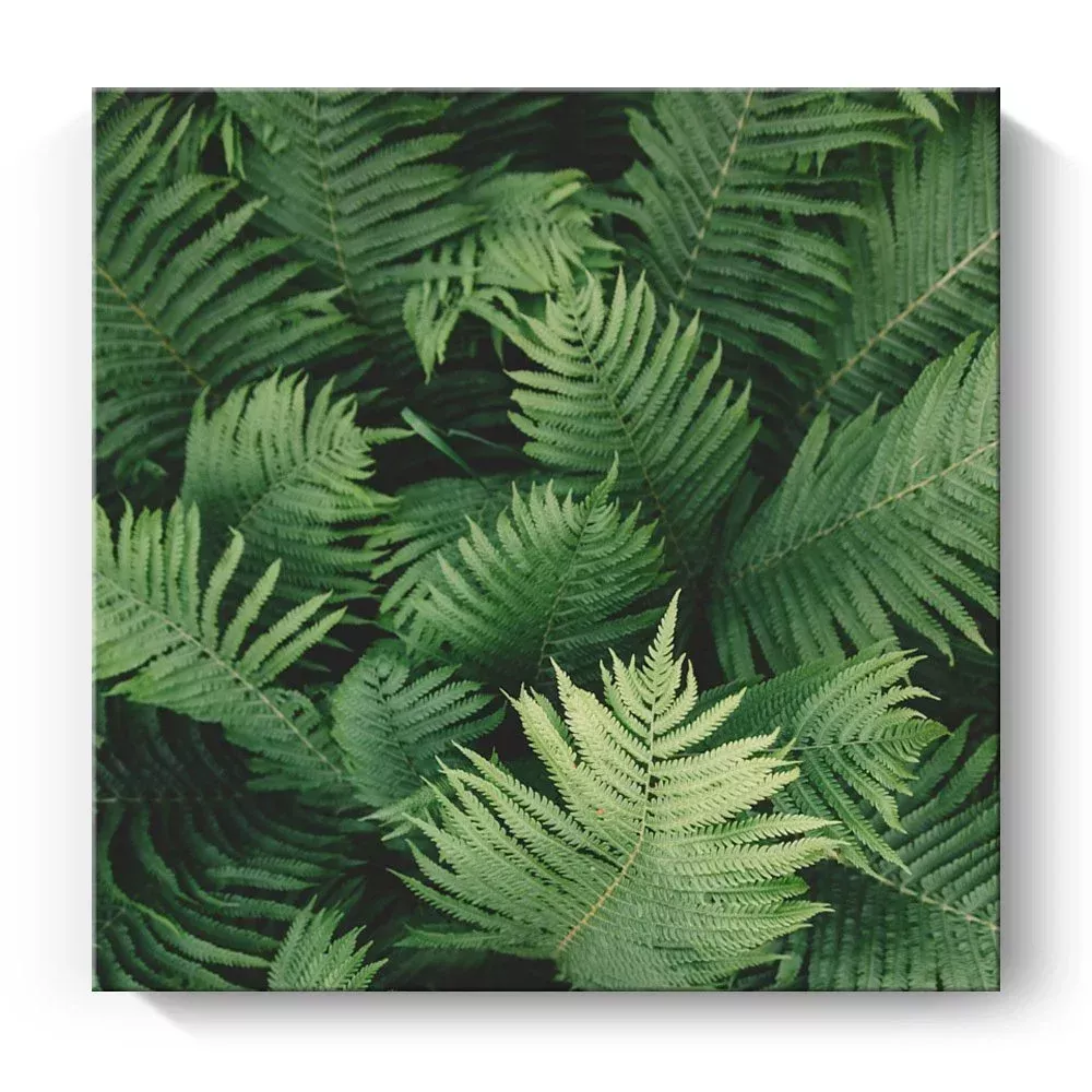 無框掛畫 | 現代壁畫單件組 | 綠葉花卉藝術 Plants art