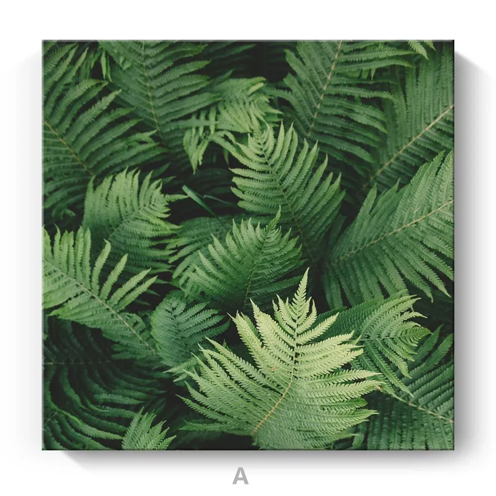 無框畫綠葉畫綠植親子民宿餐廳畫