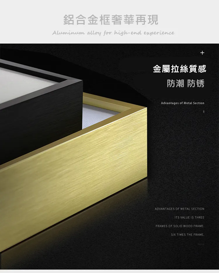 掛畫 | 壁畫 | 客廳軟裝畫作 - 抽象葉藝術