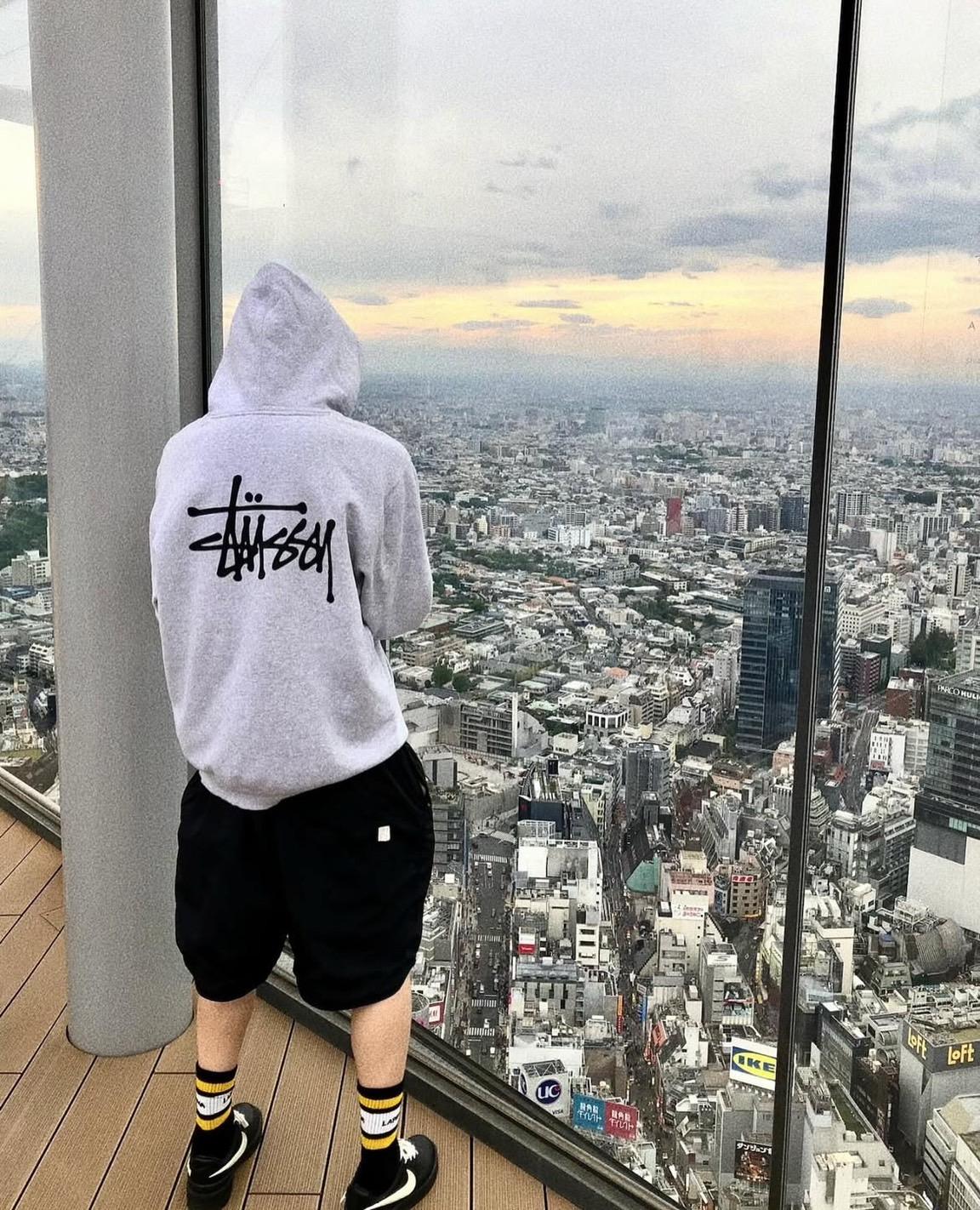 Stussy Basic Stussy Zip Hoodie 連帽外套