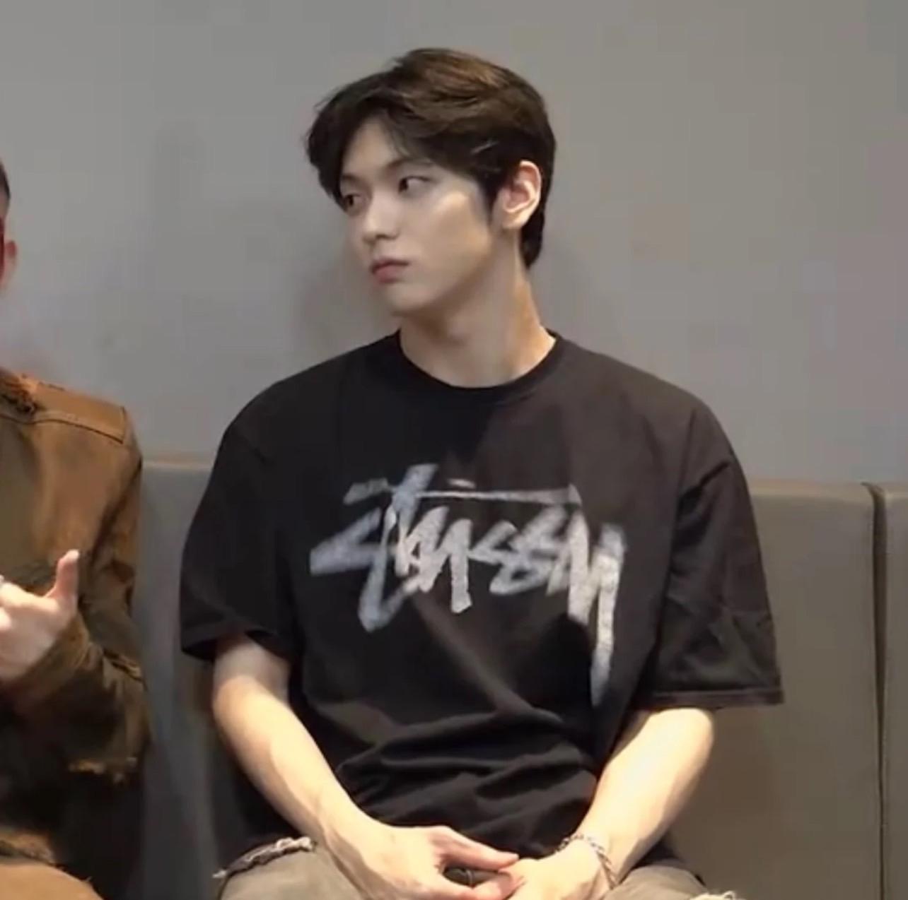 Stussy 前後暈眩Logo 短TEE