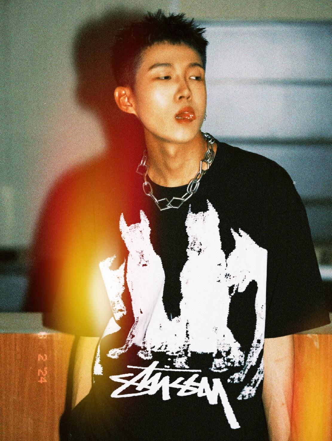Stussy Dobermans 杜賓狗系列短TEE