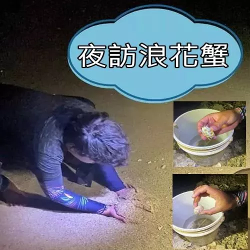 墾丁夜訪浪花蟹活動
