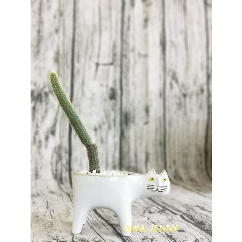 貓尾巴花盆 貓花盆陶瓷多肉猴尾柱仙人掌花盆現貨