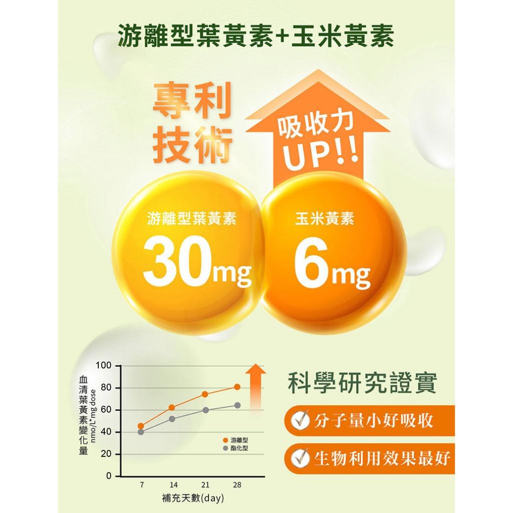 <煎妮雜貨>Gelovery 平價葉黃素｜專利Lute-gen游離型『 單包 30顆 』（葷）