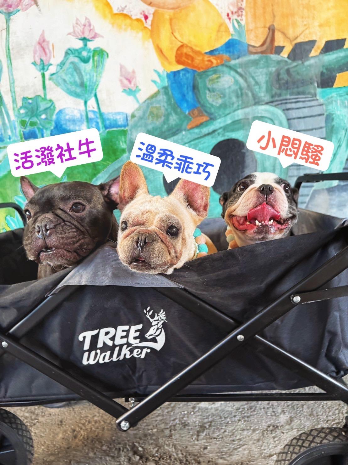 退役法鬥毛孩三集合