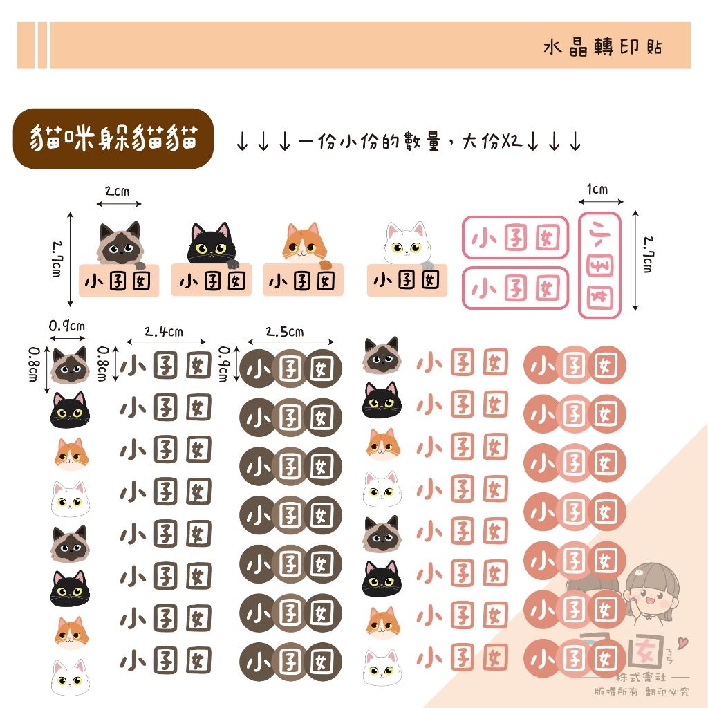 客製化UV轉印貼 水晶貼 姓名貼 感壓貼紙 不規則款 姓名款 -貓咪躲貓貓