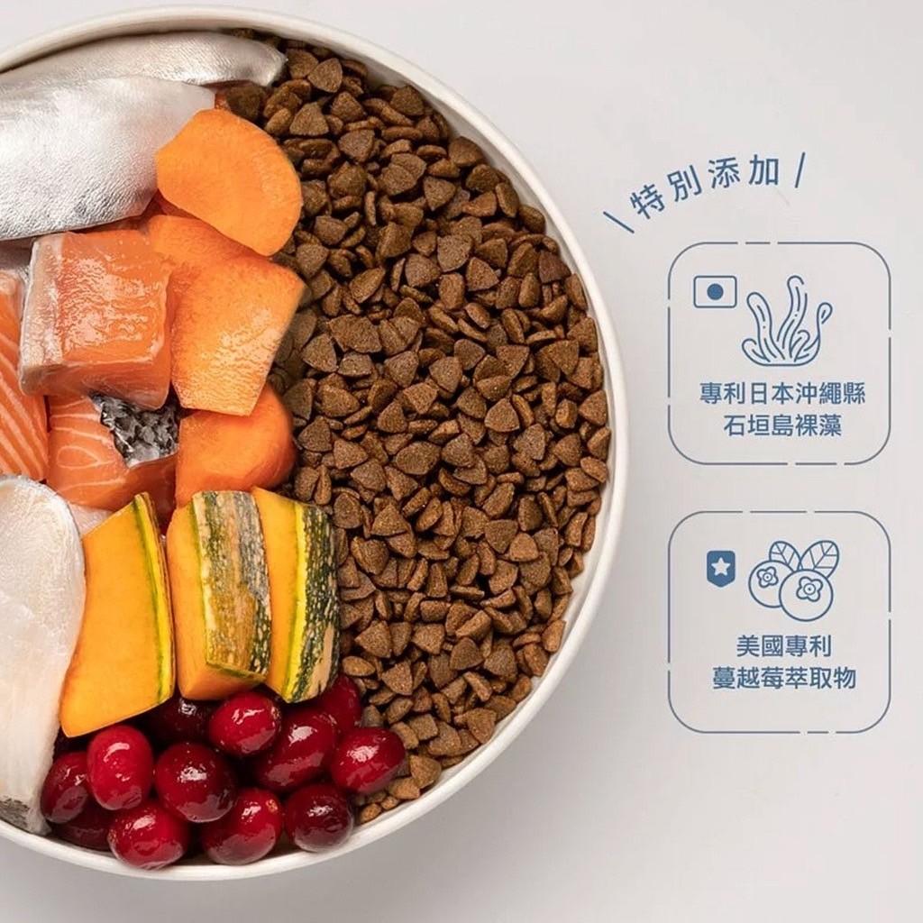 【阿寶】肚肚派對 無榖貓飼料