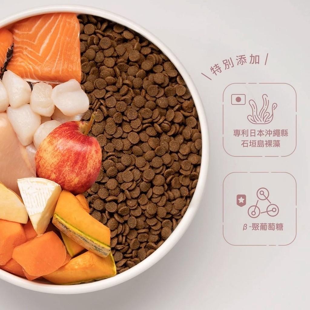 【阿寶】肚肚派對 無榖貓飼料