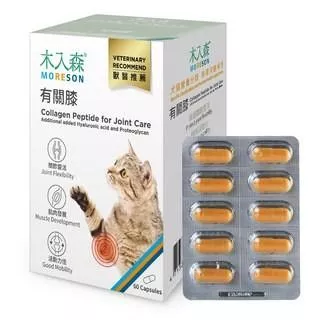 【木入森】貓咪有關膝 關節保健