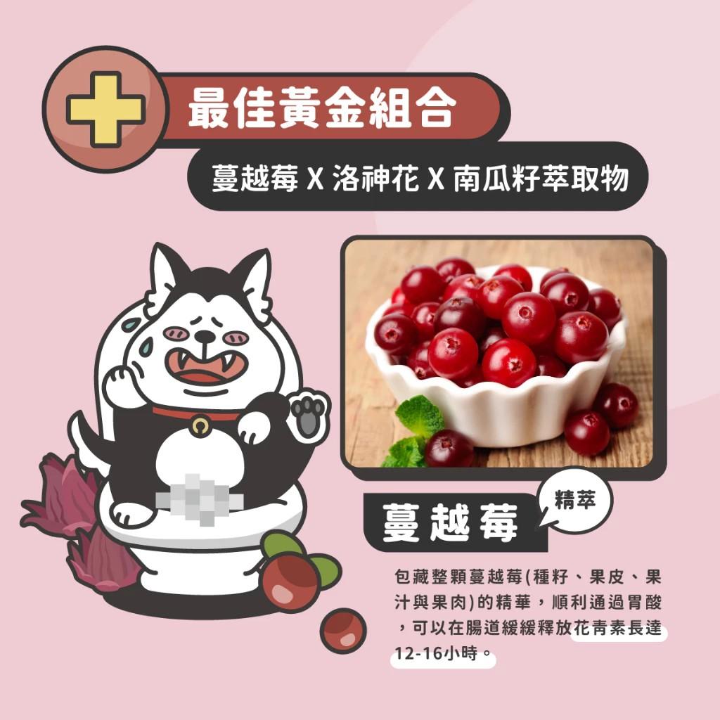 【陪心寵糧 nu4PET】泌尿道紓壓保健粉 45g