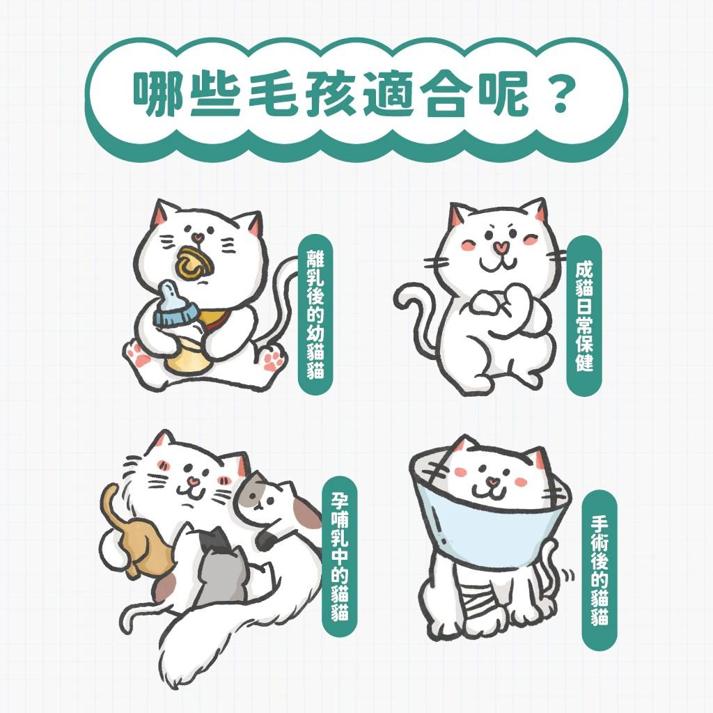 【陪心寵糧 nu4PET】幼貓 屁孩奶霜主食罐 80g（箱購24罐）