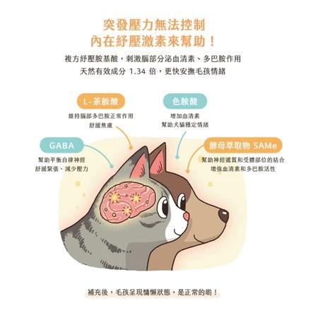 【汪喵星球】紓壓胺基酸 2g*20包/盒