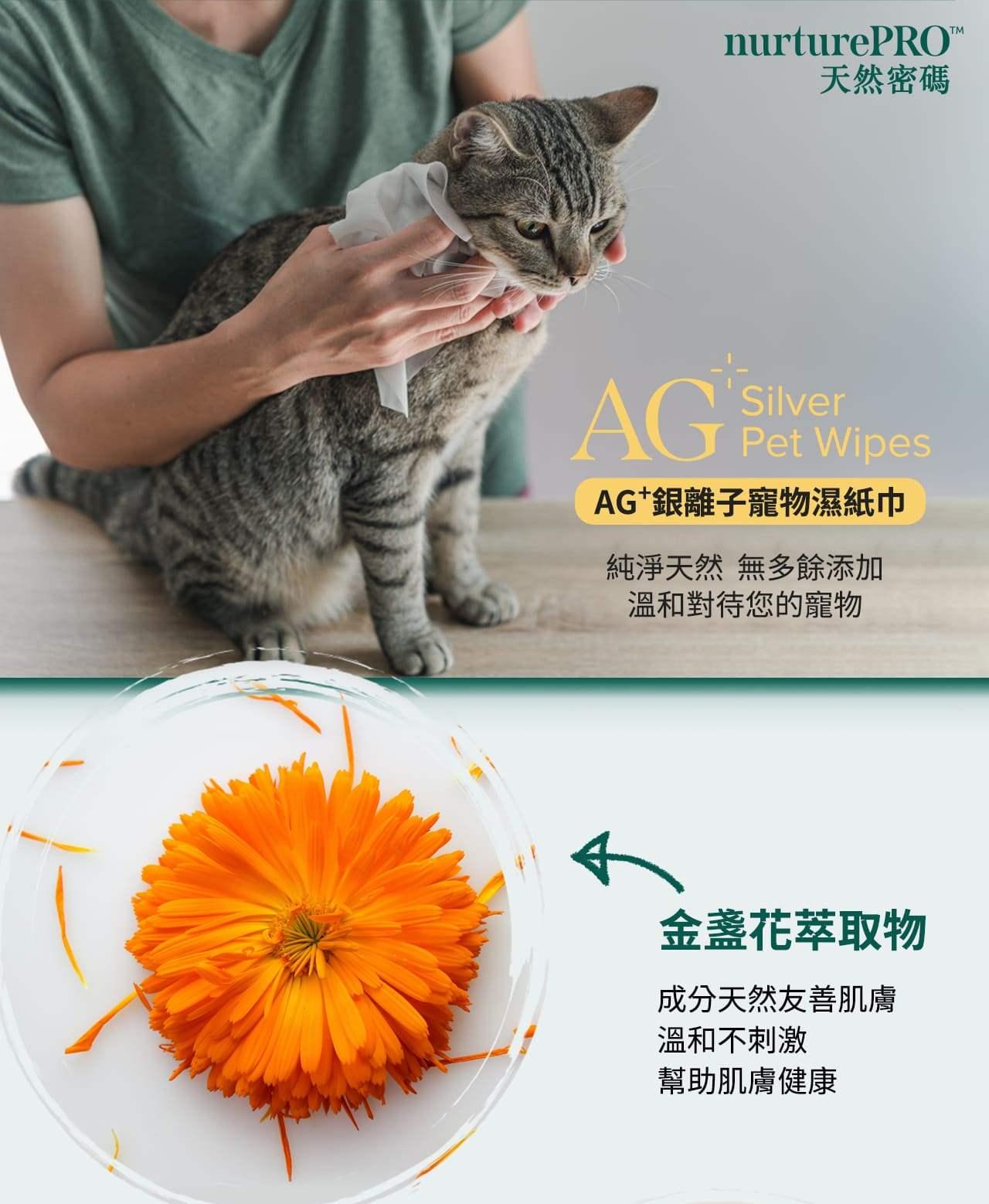 【天然密碼】銀離子寵物濕紙巾100抽