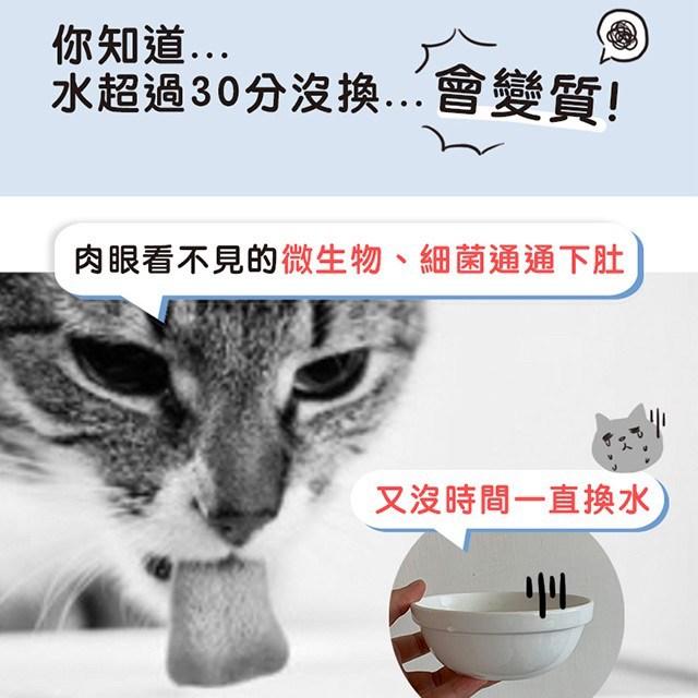 【貓樂園】喝水好喵招（6入組）
