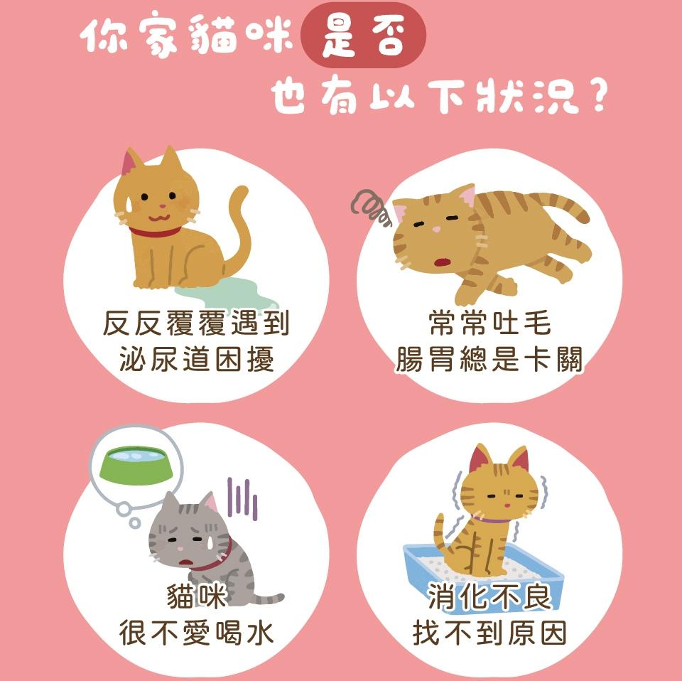 【心頭肉】貓咪洛神主食包 100g（6包組）