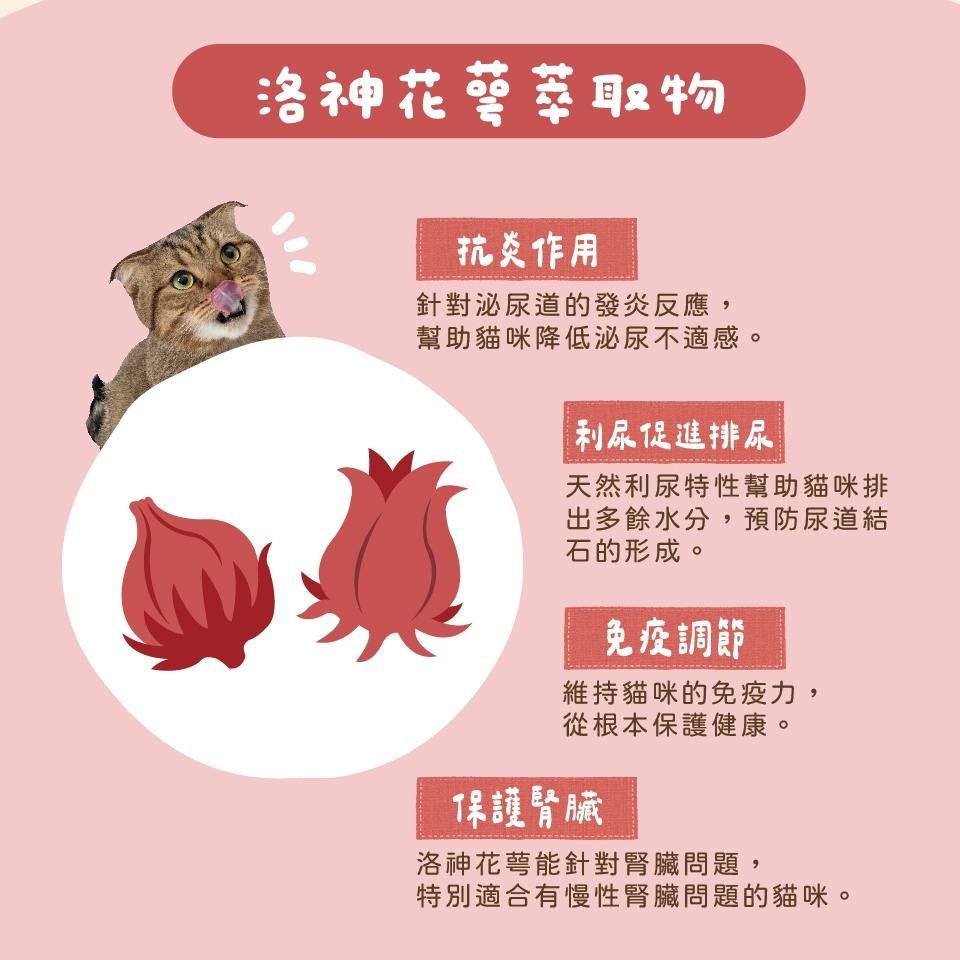 【心頭肉】貓咪洛神主食包 100g（6包組）
