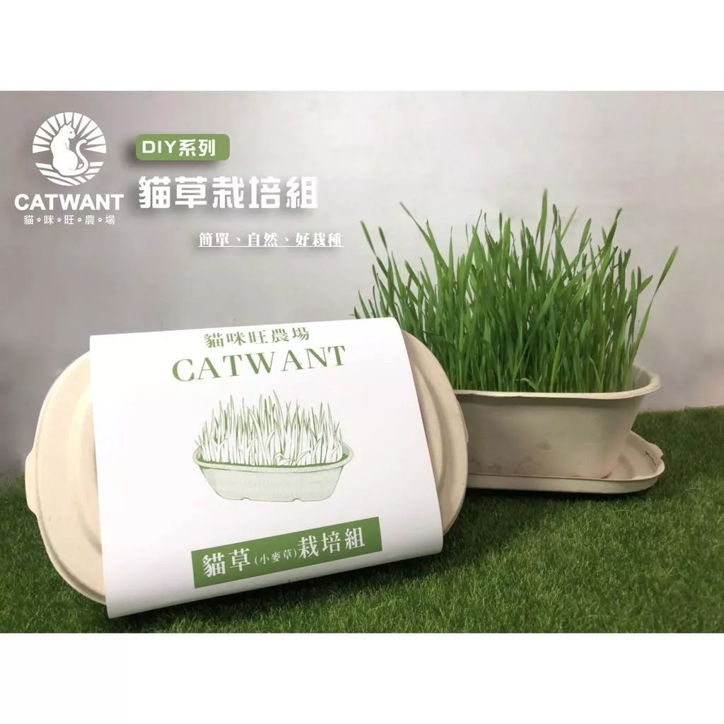 【貓咪旺農場】貓草(小麥草)栽培組 DIY 種植