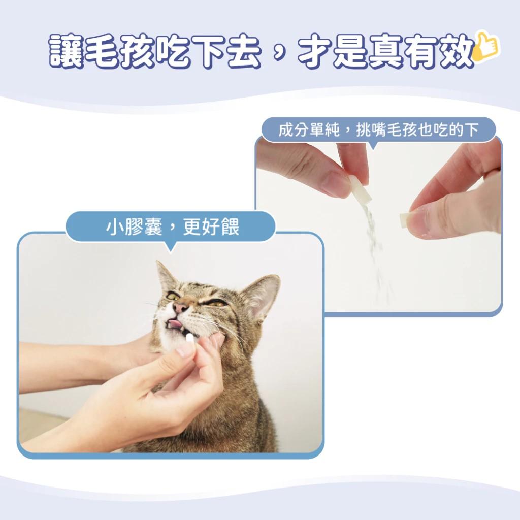 【汪喵星球】泌尿道健康保養粉 (升級版) 90顆