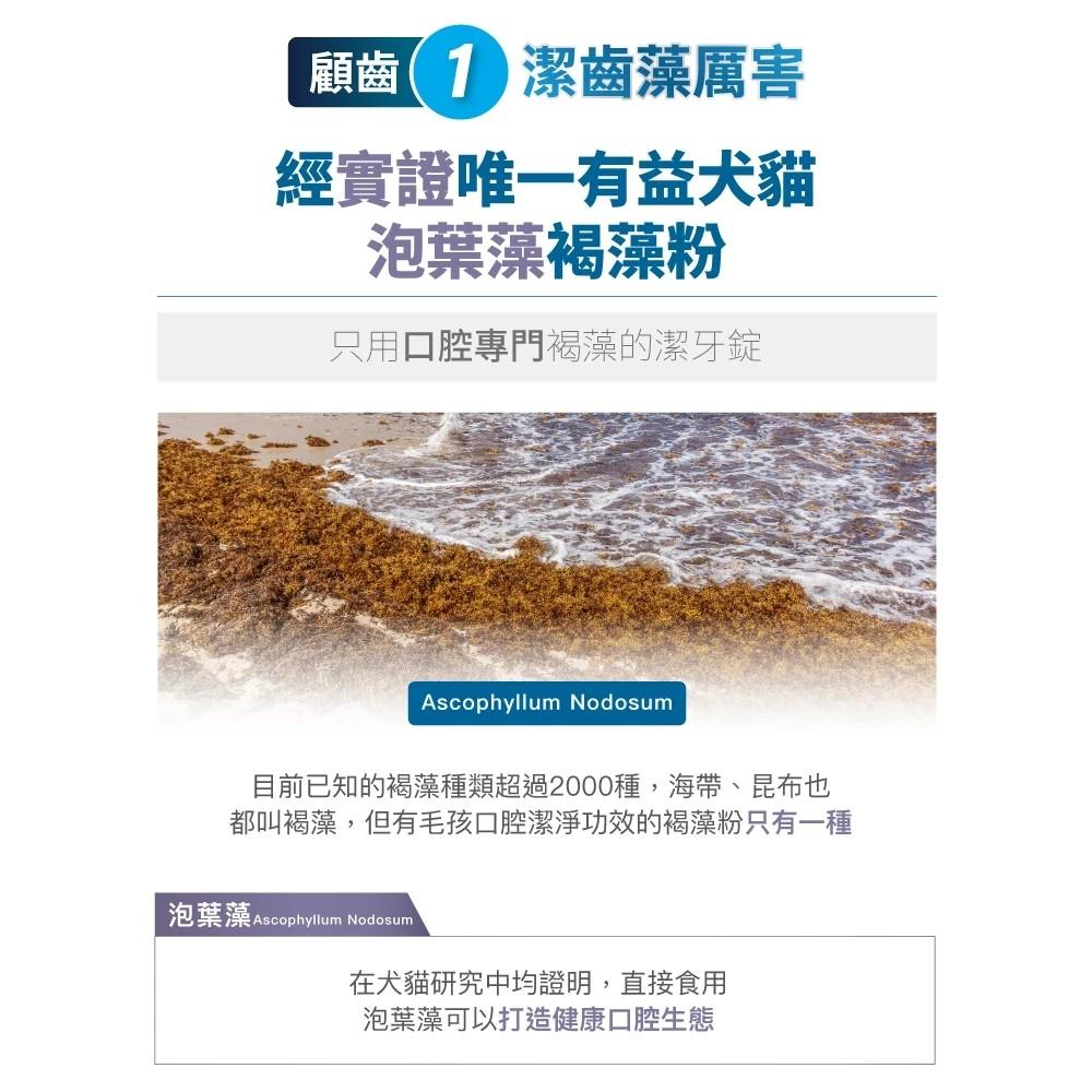 【木入森】貓咪固齒麗潔牙錠 30顆/袋
