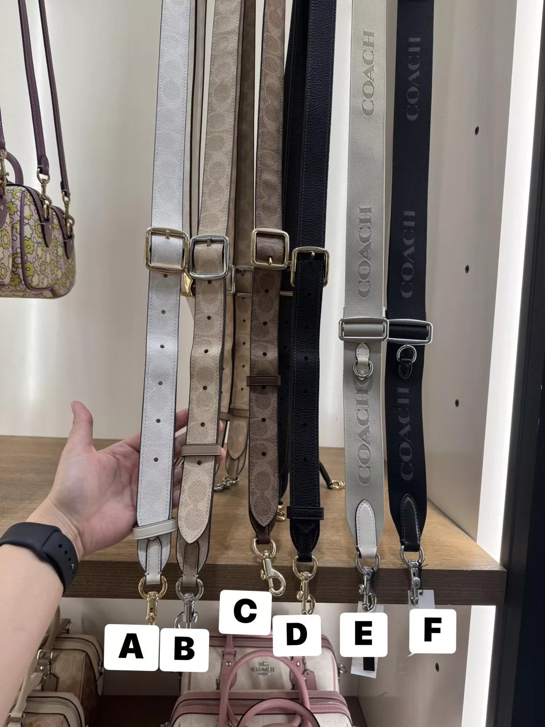 COACH 正品皮革背帶｜A～F 多款可選