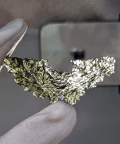 [超酷老鷹] 渾然天成的頂級刺蝟捷克隕石