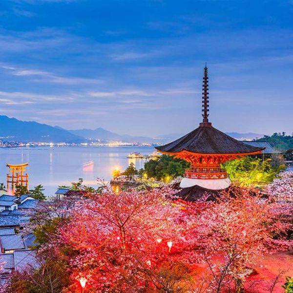 【限時限量促銷】日本 │日定量│實體SIM卡