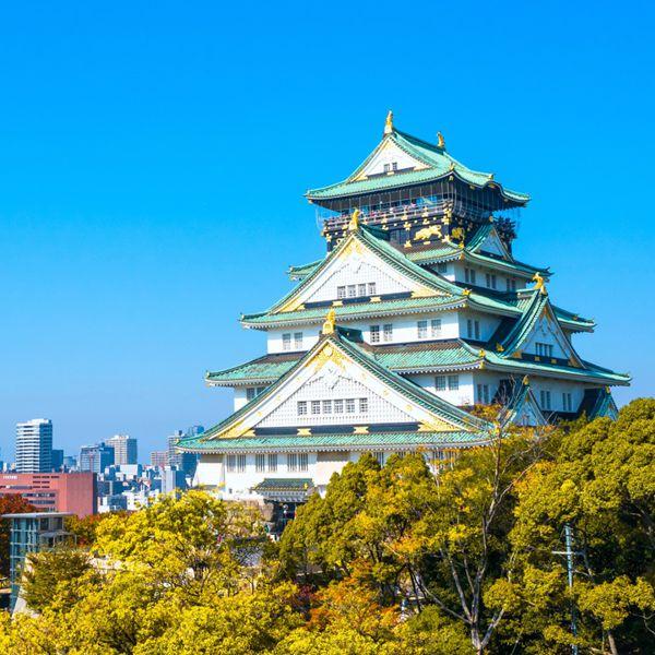 日本 │日定量│3~30天 實體SIM卡
