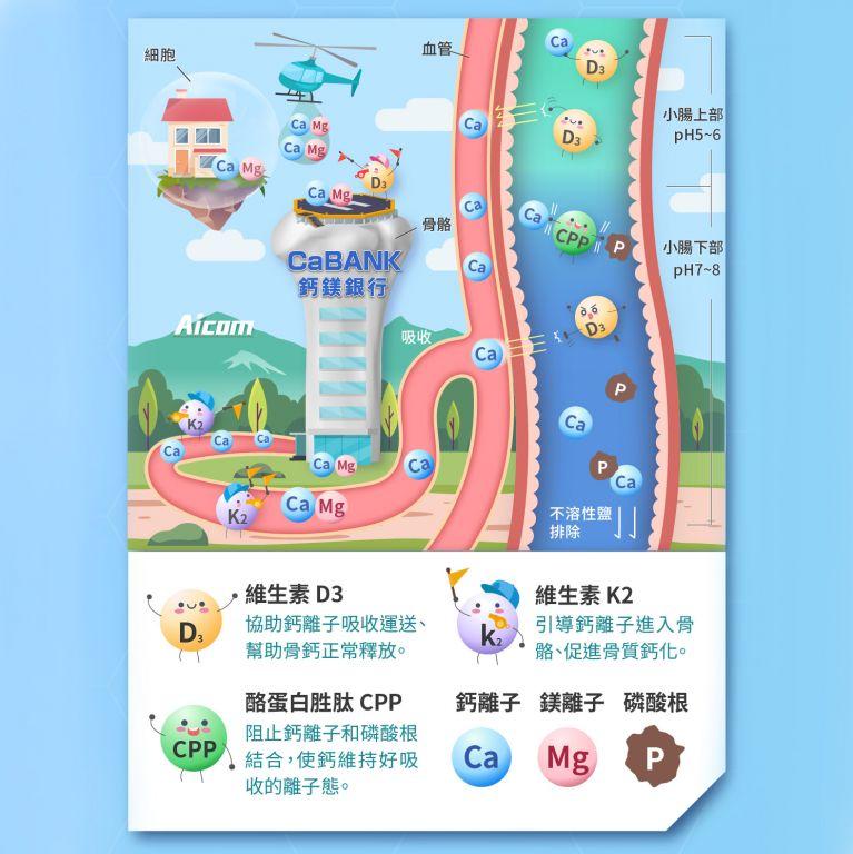 Aicom艾力康 鈣鎂鋅加強錠(90錠/瓶)
