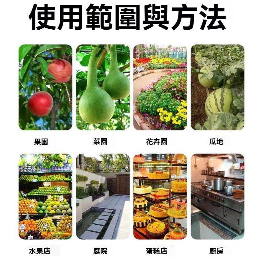 《台灣現貨 果蠅誘捕器》安全無毒 物理捕蠅 小果蠅 黏蠅球 果實蠅 飛蟲 百香果 殺果蠅 果蠅剋星【VR030946】