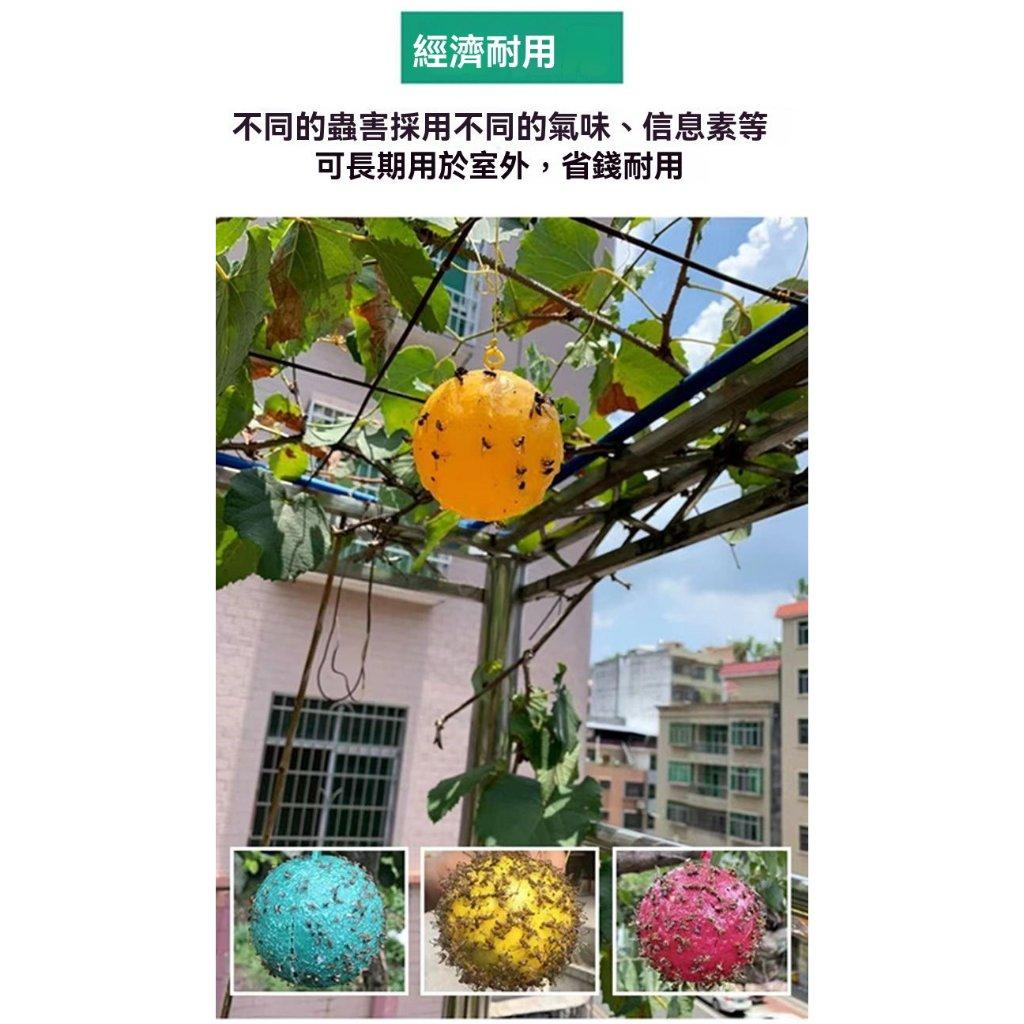 《台灣現貨 果蠅誘捕器》安全無毒 物理捕蠅 小果蠅 黏蠅球 果實蠅 飛蟲 百香果 殺果蠅 果蠅剋星【VR030946】