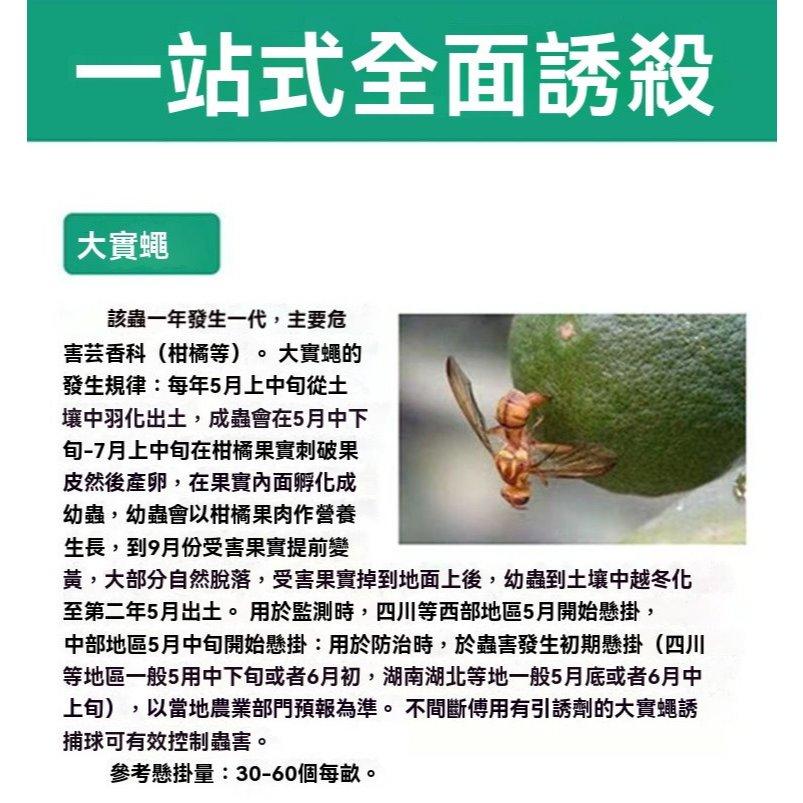 《台灣現貨 果蠅誘捕器》安全無毒 物理捕蠅 小果蠅 黏蠅球 果實蠅 飛蟲 百香果 殺果蠅 果蠅剋星【VR030946】