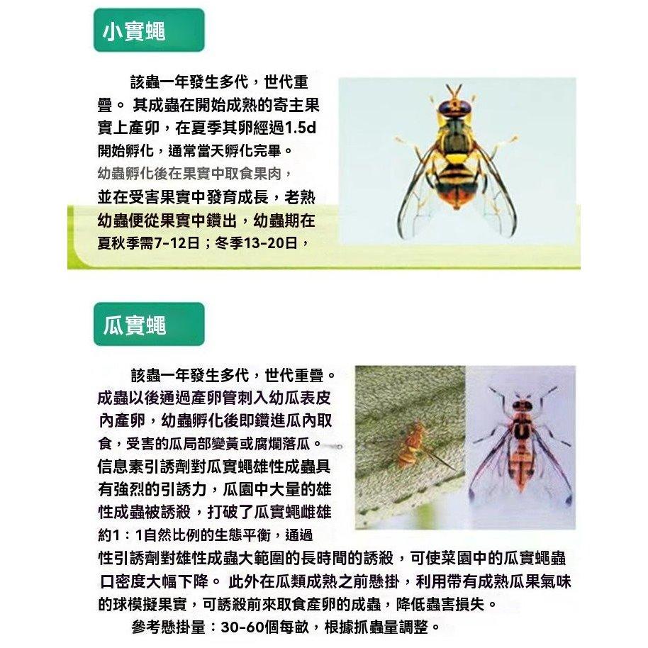 《台灣現貨 果蠅誘捕器》安全無毒 物理捕蠅 小果蠅 黏蠅球 果實蠅 飛蟲 百香果 殺果蠅 果蠅剋星【VR030946】