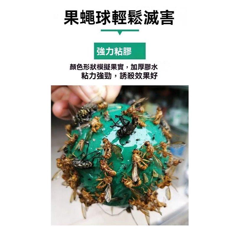 《台灣現貨 果蠅誘捕器》安全無毒 物理捕蠅 小果蠅 黏蠅球 果實蠅 飛蟲 百香果 殺果蠅 果蠅剋星【VR030946】
