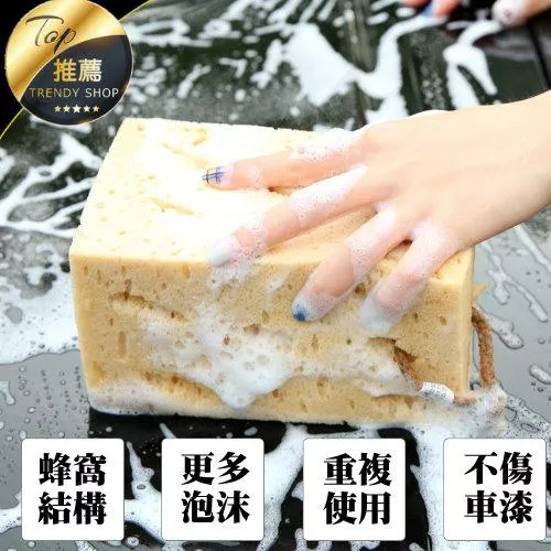 蜂窩珊瑚洗車海綿【VR040177】